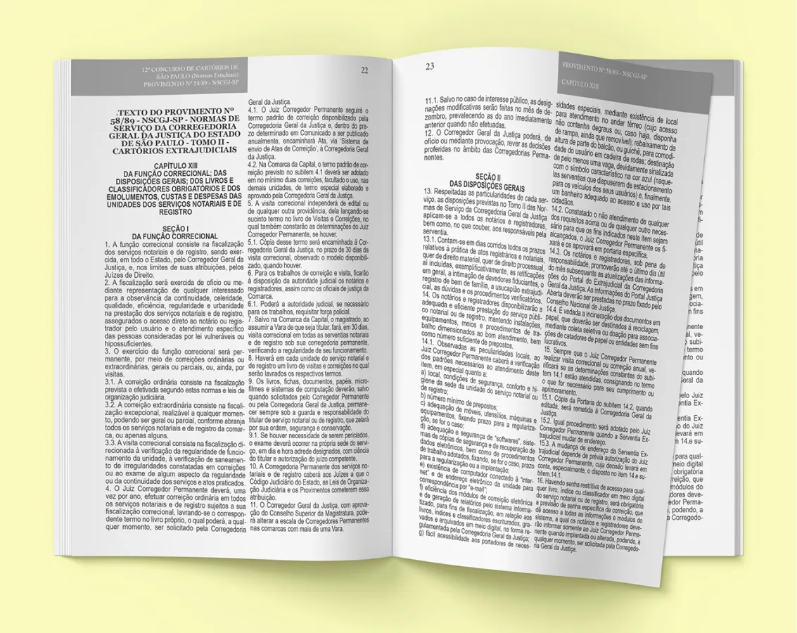 Livro Técnico - Modelo 10 - Miolo