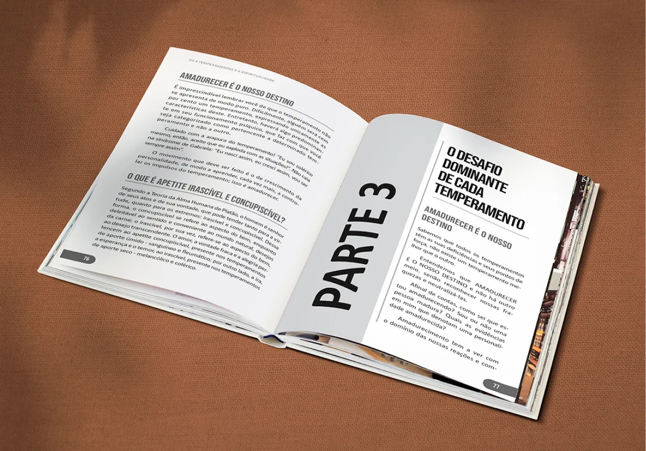 Livro Técnico - Modelo 6 - Miolo
