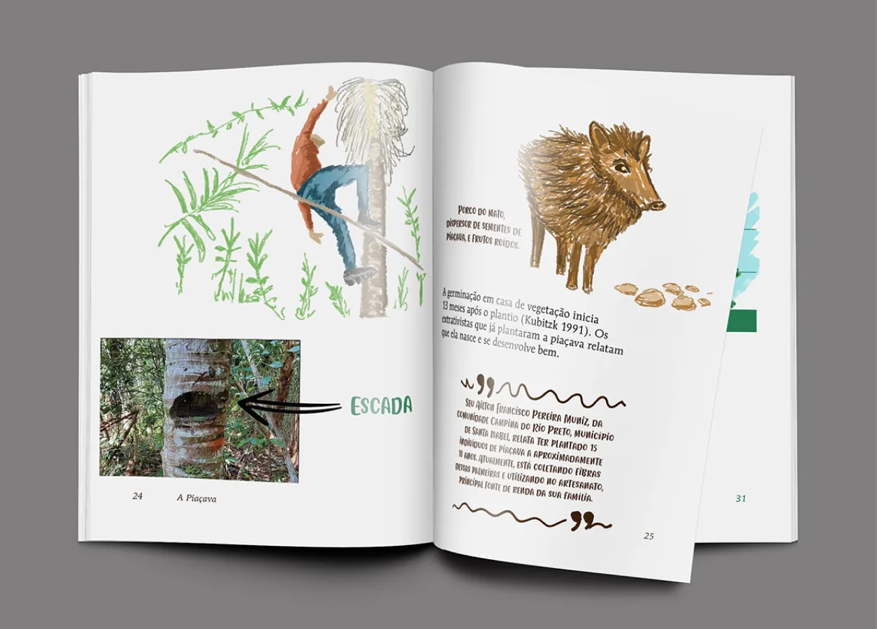 Livro de Ilustrações - Modelo 34 - Miolo